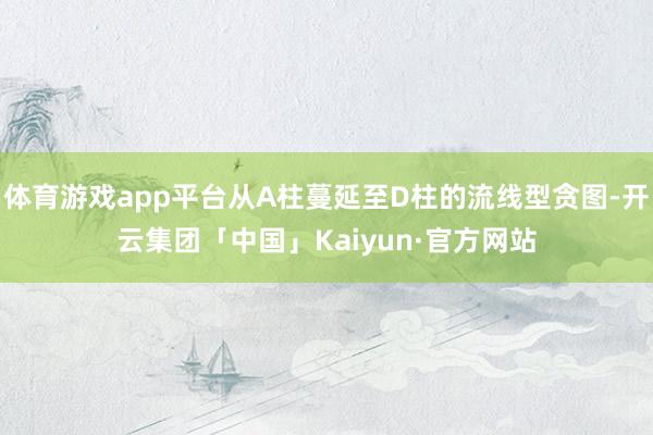 体育游戏app平台从A柱蔓延至D柱的流线型贪图-开云集团「中国」Kaiyun·官方网站