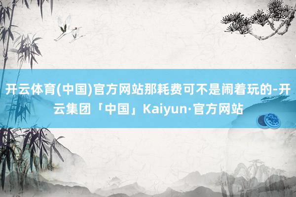 开云体育(中国)官方网站那耗费可不是闹着玩的-开云集团「中国」Kaiyun·官方网站