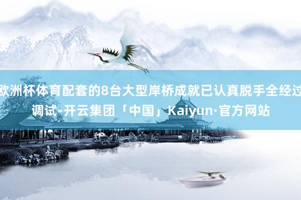 欧洲杯体育配套的8台大型岸桥成就已认真脱手全经过调试-开云集团「中国」Kaiyun·官方网站