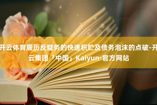 开云体育履历反璧务的快速积贮及债务泡沫的点破-开云集团「中国」Kaiyun·官方网站