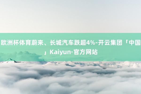 欧洲杯体育蔚来、长城汽车跌超4%-开云集团「中国」Kaiyun·官方网站