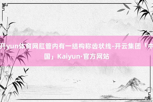 开yun体育网肛管内有一结构称齿状线-开云集团「中国」Kaiyun·官方网站