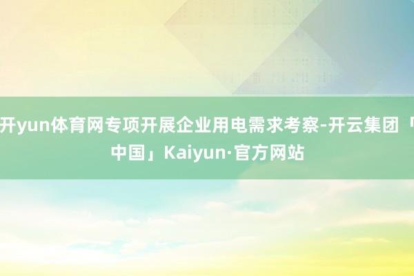 开yun体育网专项开展企业用电需求考察-开云集团「中国」Kaiyun·官方网站
