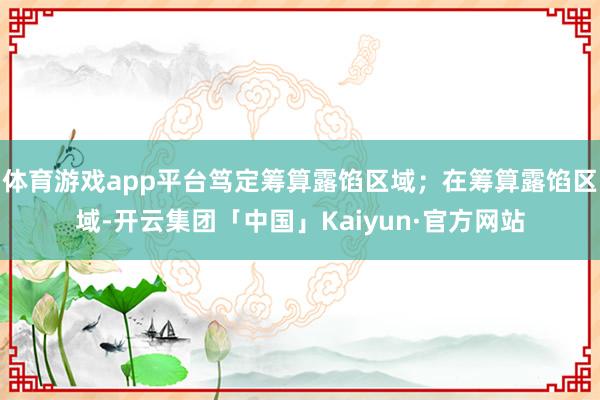 体育游戏app平台笃定筹算露馅区域；在筹算露馅区域-开云集团「中国」Kaiyun·官方网站
