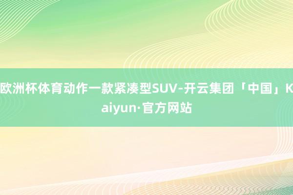 欧洲杯体育动作一款紧凑型SUV-开云集团「中国」Kaiyun·官方网站