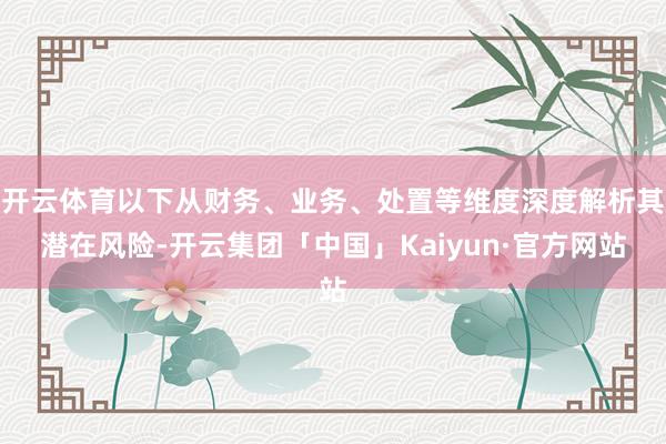 开云体育以下从财务、业务、处置等维度深度解析其潜在风险-开云集团「中国」Kaiyun·官方网站