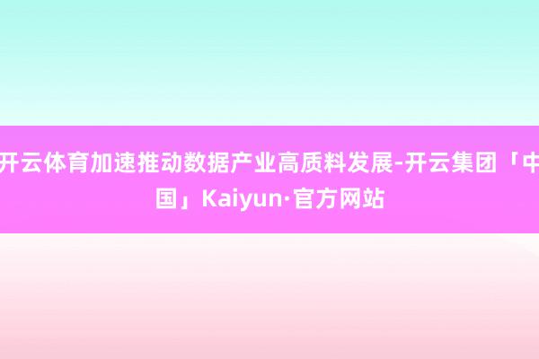 开云体育加速推动数据产业高质料发展-开云集团「中国」Kaiyun·官方网站