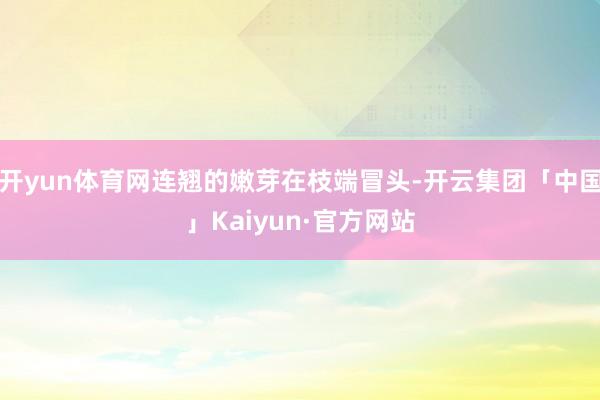 开yun体育网连翘的嫩芽在枝端冒头-开云集团「中国」Kaiyun·官方网站