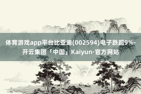 体育游戏app平台比亚迪(002594)电子跌超9%-开云集团「中国」Kaiyun·官方网站