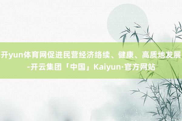开yun体育网促进民营经济络续、健康、高质地发展-开云集团「中国」Kaiyun·官方网站