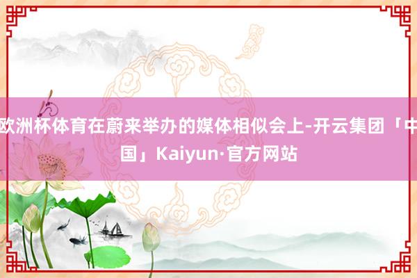 欧洲杯体育在蔚来举办的媒体相似会上-开云集团「中国」Kaiyun·官方网站