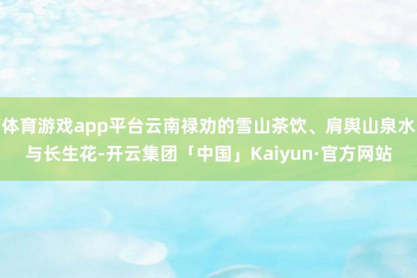 体育游戏app平台云南禄劝的雪山茶饮、肩舆山泉水与长生花-开云集团「中国」Kaiyun·官方网站