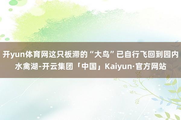 开yun体育网这只板滞的“大鸟”已自行飞回到园内水禽湖-开云集团「中国」Kaiyun·官方网站