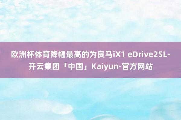 欧洲杯体育降幅最高的为良马iX1 eDrive25L-开云集团「中国」Kaiyun·官方网站