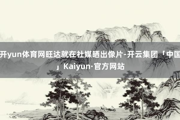 开yun体育网旺达就在社媒晒出像片-开云集团「中国」Kaiyun·官方网站