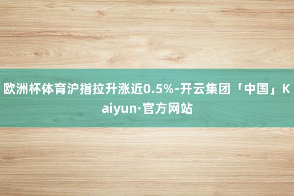欧洲杯体育沪指拉升涨近0.5%-开云集团「中国」Kaiyun·官方网站