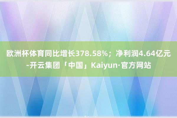 欧洲杯体育同比增长378.58%；净利润4.64亿元-开云集团「中国」Kaiyun·官方网站