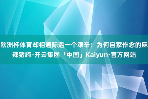欧洲杯体育却相通际遇一个艰辛：为何自家作念的麻辣猪蹄-开云集团「中国」Kaiyun·官方网站