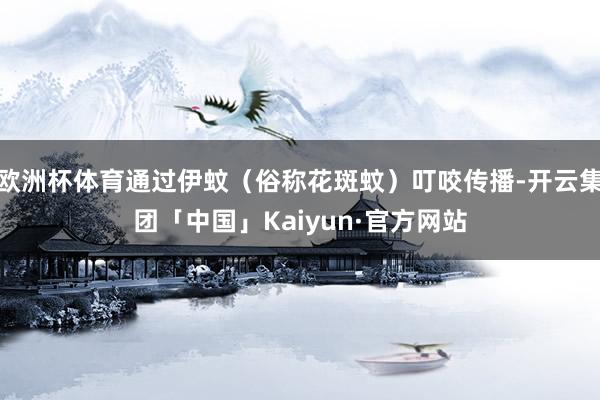 欧洲杯体育通过伊蚊(俗称花斑蚊)叮咬传播-开云集团「中国」Kaiyun·官方网站