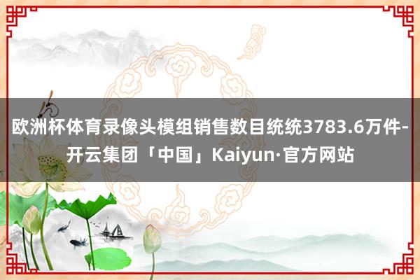 欧洲杯体育录像头模组销售数目统统3783.6万件-开云集团「中国」Kaiyun·官方网站