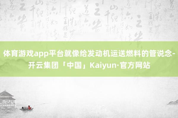 体育游戏app平台就像给发动机运送燃料的管说念-开云集团「中国」Kaiyun·官方网站