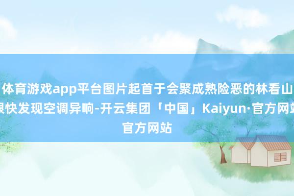 体育游戏app平台图片起首于会聚成熟险恶的林看山很快发现空调异响-开云集团「中国」Kaiyun·官方网站